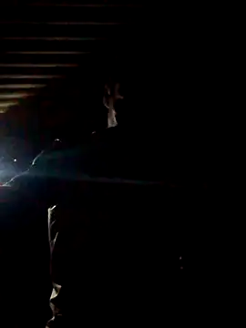 Arceusi online show from November 6, 2025, 2:56 am