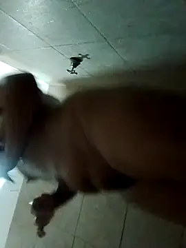 rebelde502 online show from November 12, 2025, 5:41 am