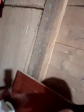 Bee-bgolden online show from November 12, 2025, 4:07 pm