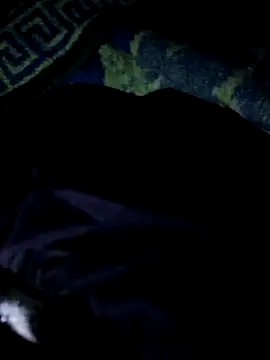 Snapshot of Darkkknet chatting on November 9, 2025, 10:30 pm Darkkknet online show from November 9, 2025, 10:30 pm