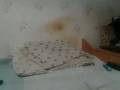 Kreol69 online show from November 19, 2025, 4:51 pm