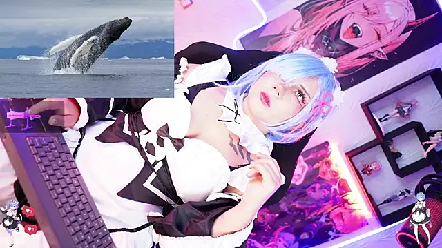 Noha-- online show from November 17, 2025, 12:55 pm