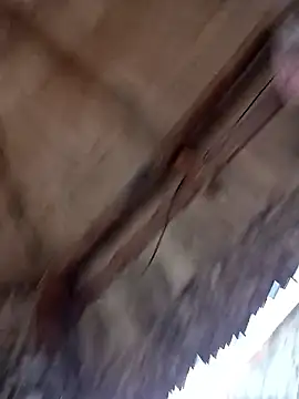 prototipoA45 online show from January 13, 2026, 10:26 pm