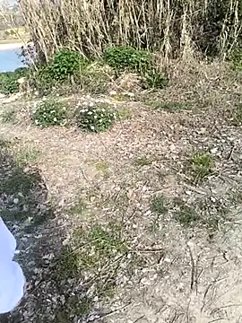 marchigiana online show from February 26, 2026, 9:19 am