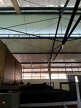 Snapshot of MonasticCanine chatting on November 26, 2025, 11:33 am MonasticCanine online show from November 26, 2025, 11:33 am