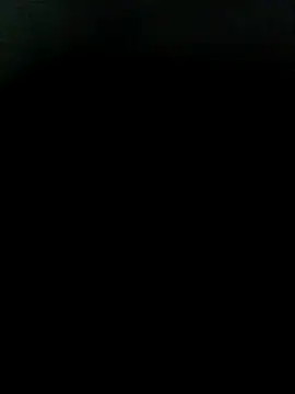 Snapshot of MonasticCanine chatting on January 13, 2026, 12:10 pm MonasticCanine online show from January 13, 2026, 12:10 pm