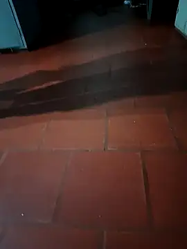 Snapshot of MonasticCanine chatting on February 23, 2026, 2:09 am MonasticCanine online show from February 23, 2026, 2:09 am