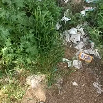 topman      online show from April 19, 2026, 10:14 am