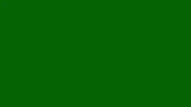 Butterbear online show from June 8, 2026, 2:28 pm
