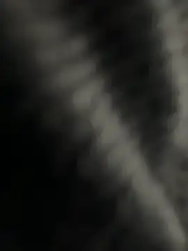 Snapshot of kangro_80 chatting on December 1, 2025, 11:26 am kangro 80 online show from December 1, 2025, 11:26 am