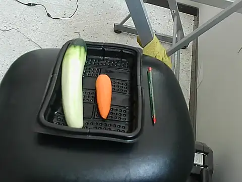 ivana latina online show from December 19, 2025, 7:10 pm