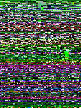 Maria-Becker online show from January 5, 2026, 5:27 pm