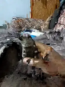 Snapshot of spermc chatting on February 6, 2026, 4:10 pm spermc online show from February 6, 2026, 4:10 pm