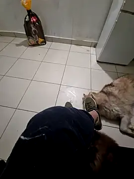 Snapshot of RITAEGIH chatting on March 2, 2026, 8:04 pm RITAEGIH online show from March 2, 2026, 8:04 pm