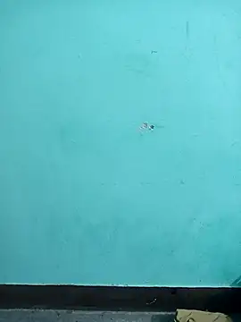 Sexacock01 online show from February 4, 2026, 11:16 am