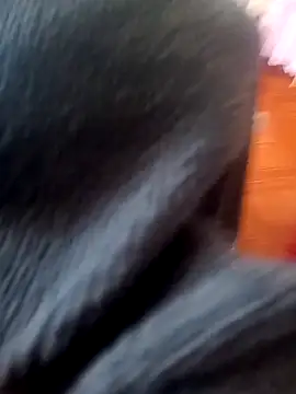 Snapshot of Jeison0323 chatting on February 25, 2026, 8:29 pm Jeison0323 online show from February 25, 2026, 8:29 pm