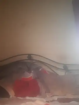 Shivona online show from November 28, 2025, 3:53 am