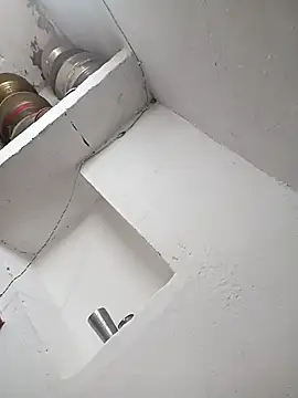 Snapshot of Anushasharma89 chatting on February 22, 2026, 12:15 pm Anushasharma89 online show from February 22, 2026, 12:15 pm