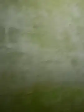 Uplk online show from November 17, 2025, 11:49 am