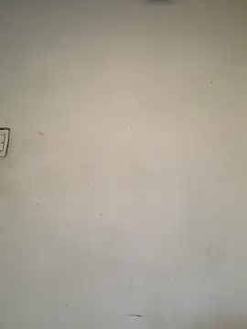 Dannii- online show from February 28, 2026, 1:17 am