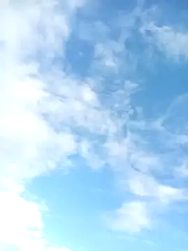 juunioreest online show from January 10, 2026, 10:47 pm