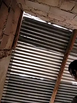 Snapshot of manumegumy chatting on November 19, 2025, 7:25 pm manumegumy online show from November 19, 2025, 7:25 pm