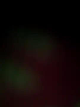 Nandani-758 online show from December 18, 2025, 12:00 pm