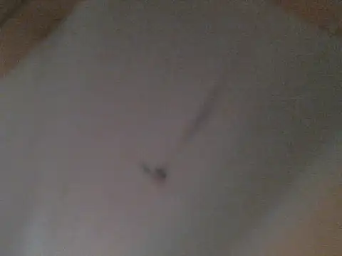 Snapshot of BellahG90 chatting on November 22, 2025, 1:54 pm BellahG90 online show from November 22, 2025, 1:54 pm