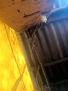 Babita Gori online show from December 19, 2025, 5:58 am