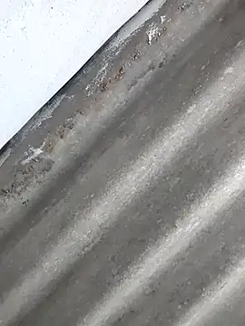 Babita Gori online show from April 8, 2026, 2:28 pm