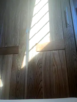 Snapshot of HuggingRegulus chatting on November 24, 2025, 7:46 pm HuggingRegulus online show from November 24, 2025, 7:46 pm