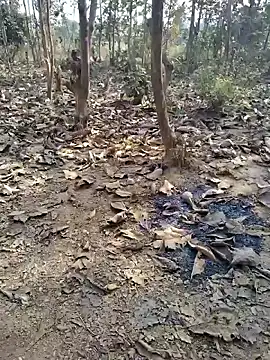 Snapshot of 88zaifkhan88 chatting on January 8, 2026, 4:37 am 88zaifkhan88 online show from January 8, 2026, 4:37 am