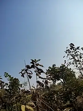 Snapshot of 88zaifkhan88 chatting on January 14, 2026, 5:13 am 88zaifkhan88 online show from January 14, 2026, 5:13 am