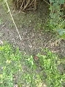 Snapshot of 88zaifkhan88 chatting on March 2, 2026, 5:08 am 88zaifkhan88 online show from March 2, 2026, 5:08 am