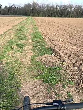 marconordic online show from March 21, 2026, 3:04 pm