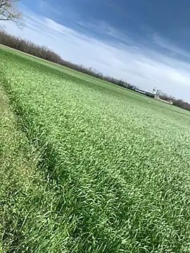 marconordic online show from March 29, 2026, 1:11 pm