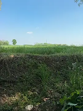 marconordic online show from April 18, 2026, 1:26 pm