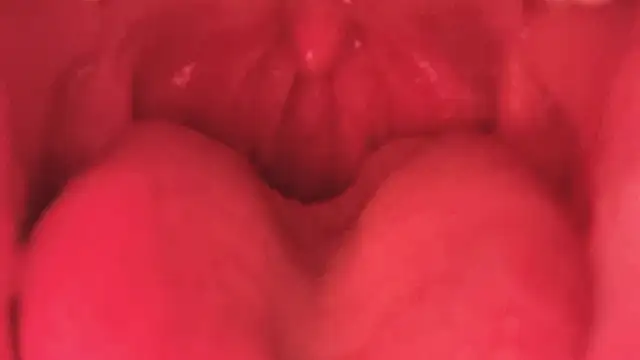 LT-333 online show from January 11, 2026, 3:50 pm