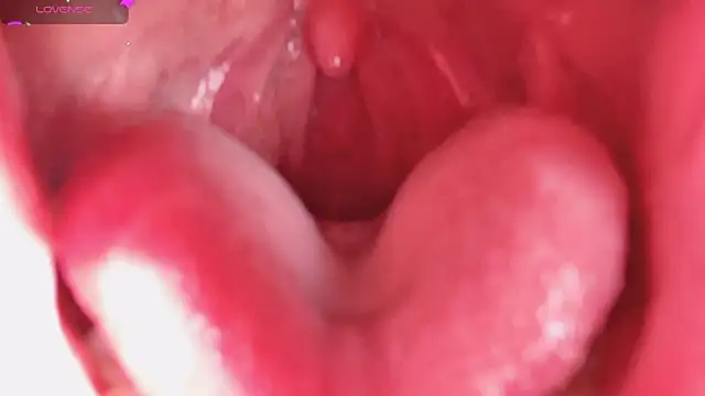 LT-333 online show from February 5, 2026, 8:24 pm