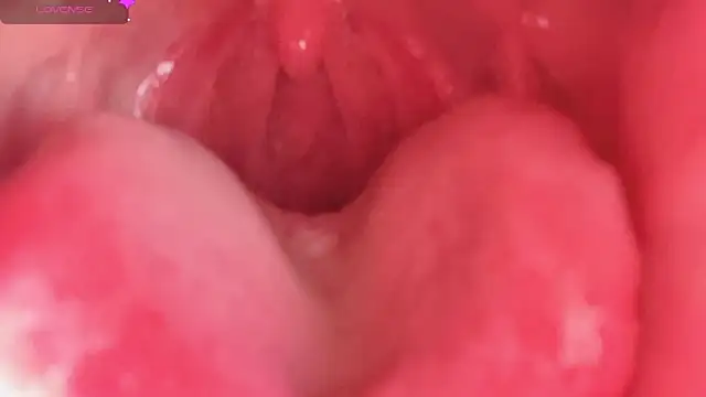 LT-333 online show from February 10, 2026, 4:33 pm