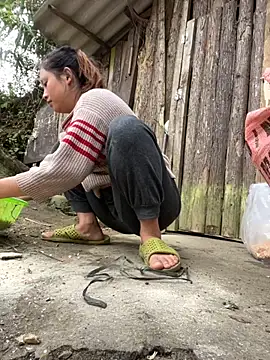 Thaoem online show from December 4, 2025, 5:28 am