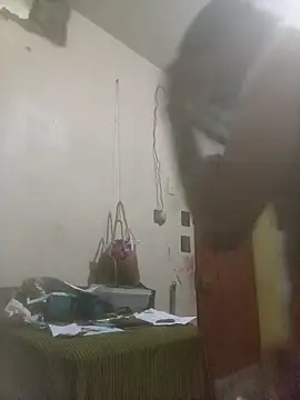 bebicho11 online show from December 3, 2025, 4:42 am