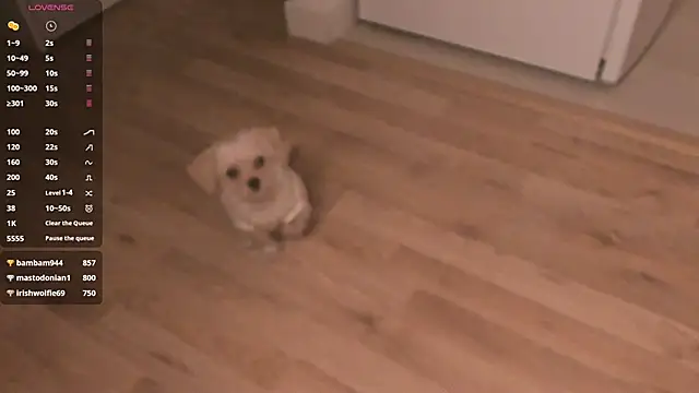 Snapshot of MePretty chatting on March 23, 2025, 12:58 am MePretty online show from March 23, 2025, 12:58 am