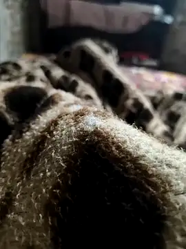 Mahi-Aman online show from December 5, 2025, 2:42 am