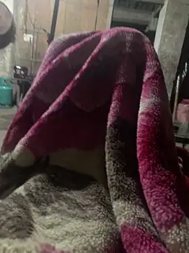 anh-soi123 online show from March 11, 2026, 5:41 pm