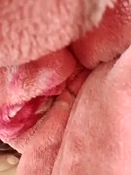 Snapshot of eujaamii chatting on December 2, 2025, 2:56 pm eujaamii online show from December 2, 2025, 2:56 pm