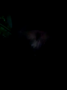 KF hway online show from March 25, 2026, 11:11 pm