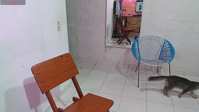 maxI dick33 online show from February 14, 2026, 10:23 am