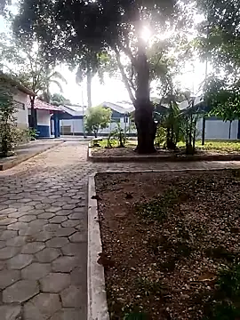 Mchljjk online show from January 8, 2026, 10:39 am