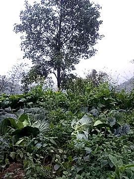 Snapshot of sary-hot2x chatting on February 24, 2026, 10:46 am sary-hot2x online show from February 24, 2026, 10:46 am